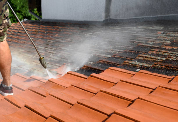 Professional Pressure Washing in Ferriday, LA